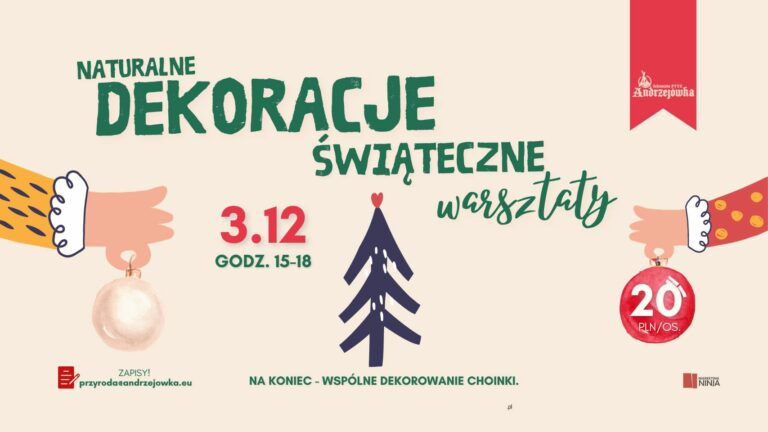 Warsztaty „Naturalne dekoracje Świąteczne”