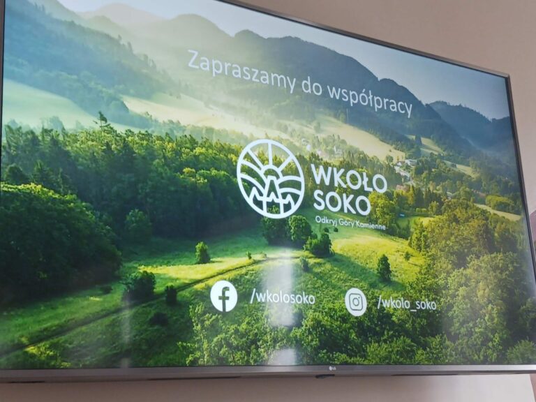 Spotkanie partnerstwa Wkoło Soko