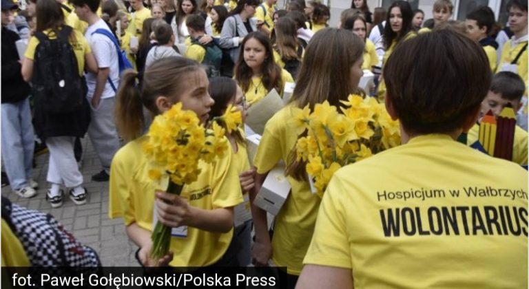 Ruszyła dzisiaj Żonkilowa Kwesta