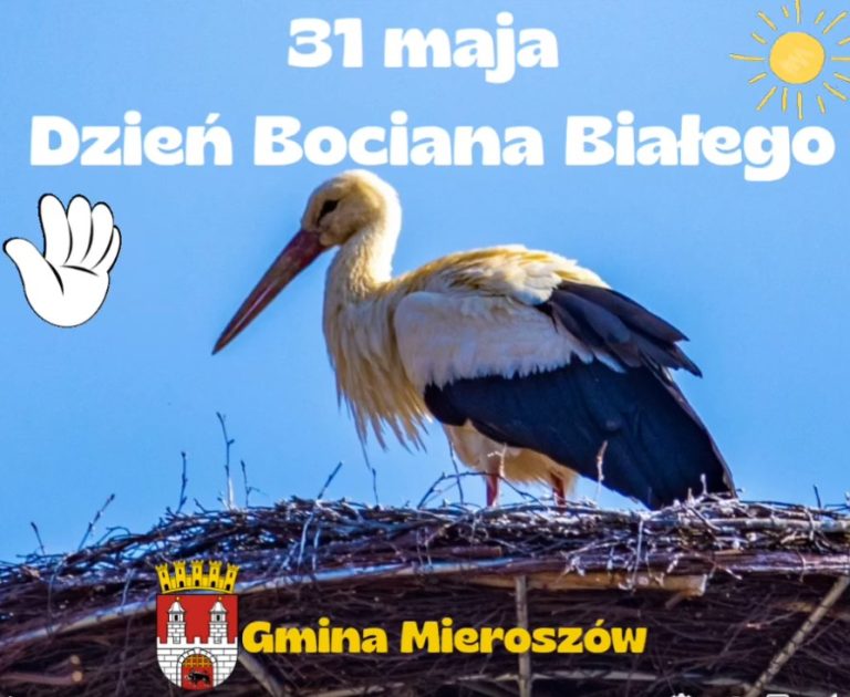 Dzień Bociana Białego