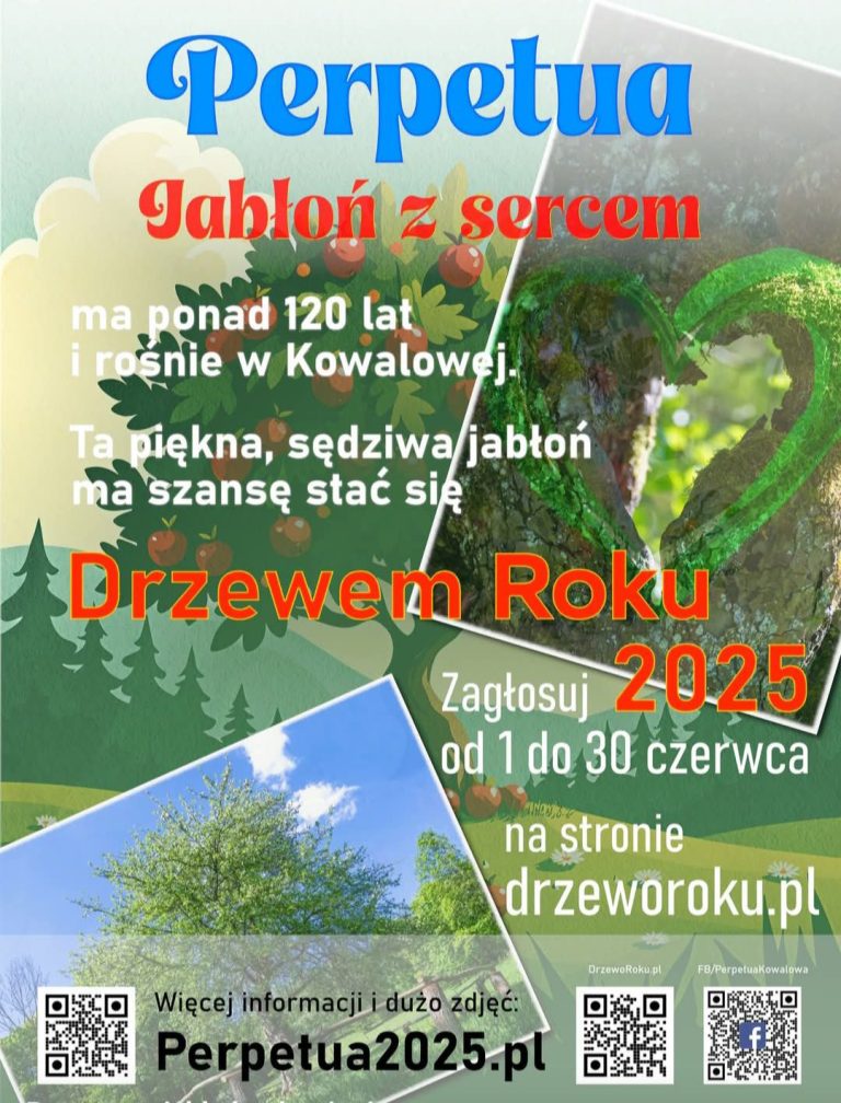 Ostatnie 3 dni głosowania na Drzewo Roku
