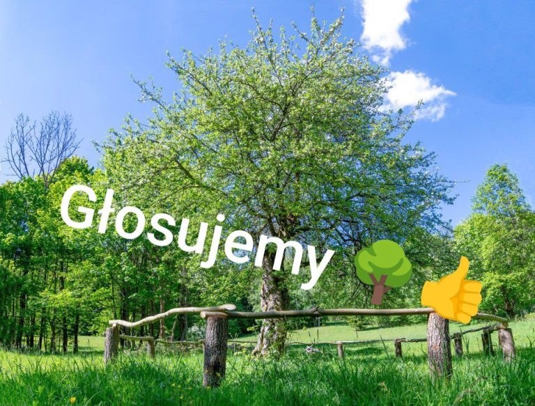 A gdyby tak Jabłoń Perpetua z Kowalowa została drzewem 2025 roku???