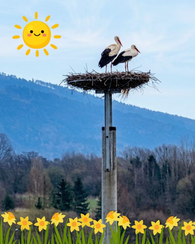 Hej, Mieroszów! Mamy to!