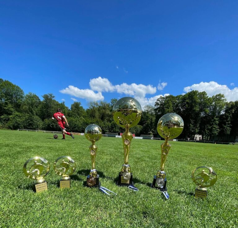 Międzynarodowy turniej Friedland Cup