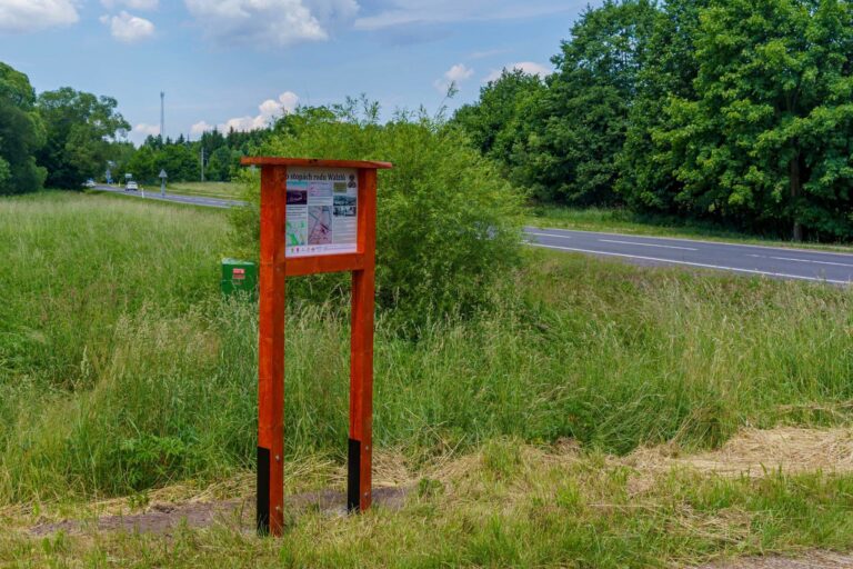 Nowa tablica historyczna w Golińsk Sołectwo – śladami rodu Walzlów